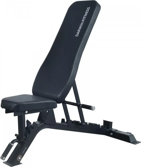 Darwin Fitness Fitness Hantelbank