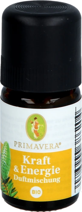 Primavera Life Kraft & Energie Duftmischung Bio, 5ml