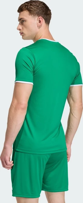 adidas Entrada 26 Trikot kurzarm team green/white (Herren)