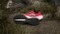 adidas Terrex Agravic Speed Ultra pure ruby/grey one/lucid red (Herren) Vorschaubild