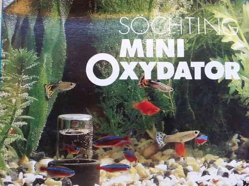 Söchting Oxydator