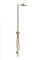 Hansgrohe Axor Starck Nature Duschsäule mit Kopfbrause 240 1jet brushed bronze Vorschaubild