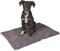 Kerbl Schmutzfangmatte SuperBed, 100x65cm, dunkelgrau Vorschaubild