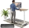 Ergotopia Desktopia One Vorschaubild