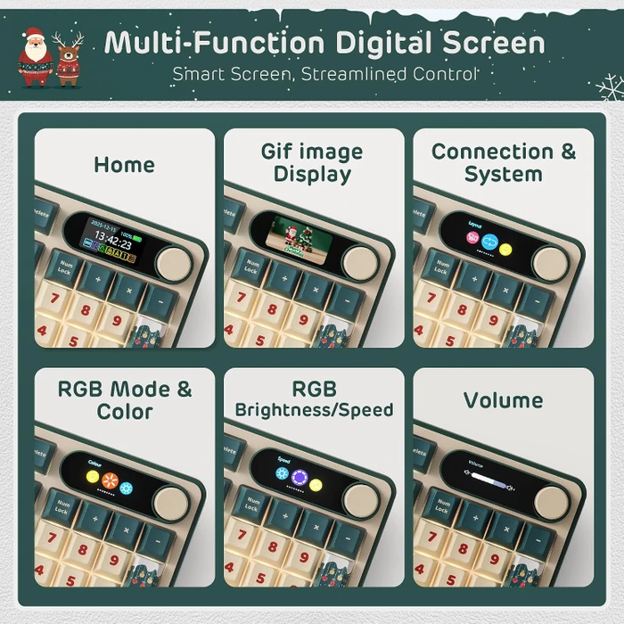 RK Royal Kludge S98, Winter Limited Edition, 96%, hot-swap, RK Linear Mango, USB/Bluetooth, US