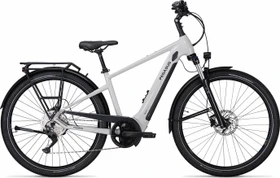 Pegasus Savino Evo 10 CX 625Wh light grey Modell 2022 (Herren)