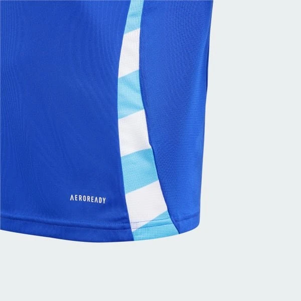 adidas Argentinien 2024 Auswärtstrikot (Junior)