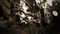 Resident Evil 7 - Season Pass (Download) (Add-on) (PC) Vorschaubild