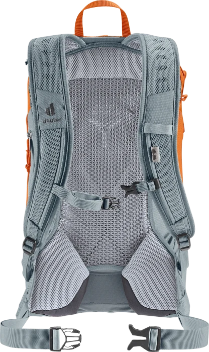 Deuter AC Lite 17 chestnut/teal