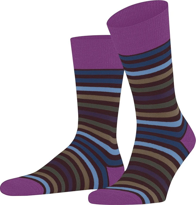 Falke Tinted Stripe Socken rioja (Herren)