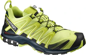 Salomon XA Pro 3D GTX lime punch/black/reflecting pond (Herren)