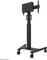 Neomounts FL50S-825BL1 Vorschaubild