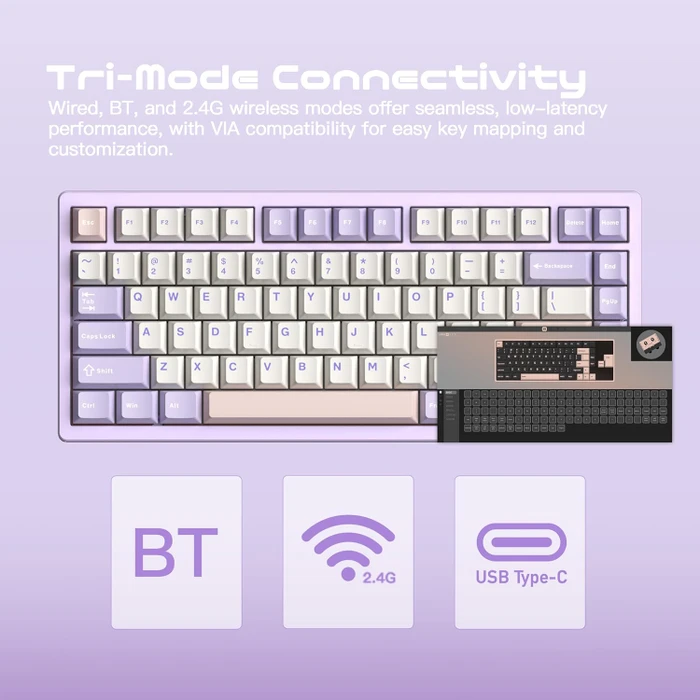 Wobkey Rainy 75 Pro, violett, LEDs RGB, Kailh Cocoa, USB/Bluetooth, US