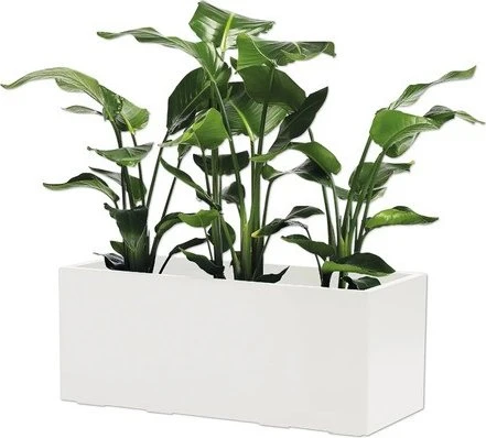 euro3plast Greener Kebe Pflanzkasten 100x40cm weiß