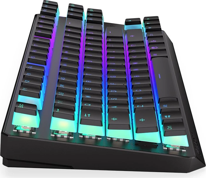 Endorfy Thock TKL Wireless Pudding, PBT, LEDs RGB, hot-swap, Kailh Box RED, USB/Bluetooth, US
