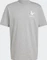 adidas Adventure Graphic Duckies T-Shirt kurzarm medium grey heather (Herren) Vorschaubild