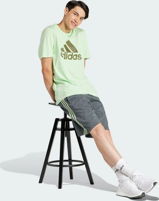 adidas Essentials Single Jersey Big Logo T-Shirt kurzarm semi green spark (Herren)