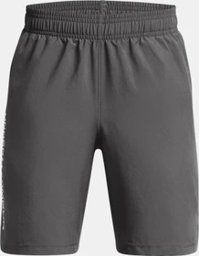 Under Armour Tech Woven Wordmark Hose kurz castlerock/white (Junior)