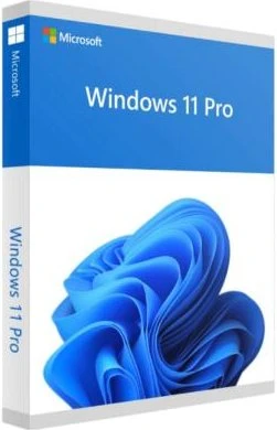 Microsoft Windows 11 Pro 64Bit, DSP/SB (niederländisch) (PC)