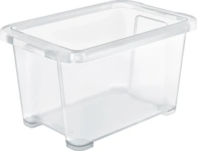 Rotho Evo Easy Storage Aufbewahrungsbox, 1.2l, transparent/transparent