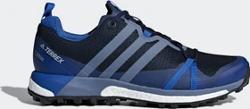 adidas Terrex Agravic GTX collegiate navy/raw steel/blue beauty (Herren)