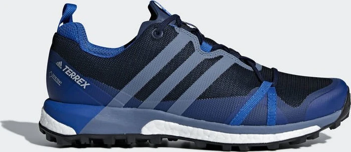 adidas Terrex Agravic GTX collegiate navy/raw steel/blue beauty (Herren)