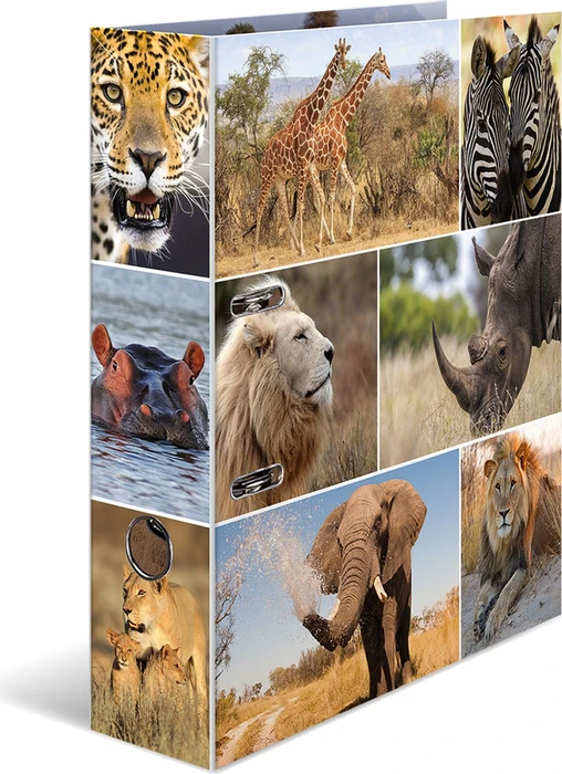 Herma Ordner 2-Ring mit Motiv, 70mm, A4, Animals Afrika (7168) – Bild 2 von 3