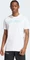 adidas Mercedes AMG Petronas Formula One Team DNA Graphic T-Shirt kurzarm white/semi mint rush (Herren) Vorschaubild