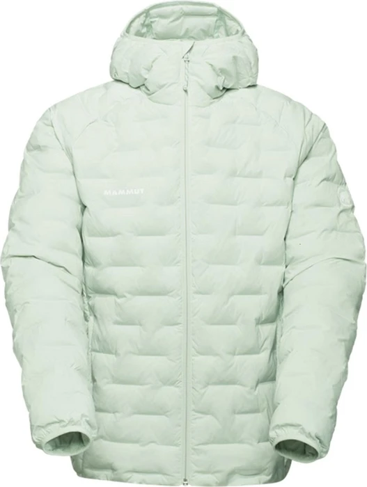 Mammut Sender IN Hooded Jacke silver sage (Herren)