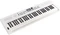 Roland Go:Keys 5 White Vorschaubild
