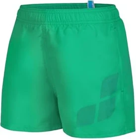 Arena Logo R Badeshorts green quartz/purple blue (Junior)