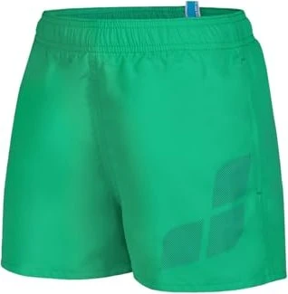 Arena Logo R Badeshorts green quartz/purple blue (Junior)