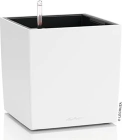 Lechuza Cube Color 30 weiß