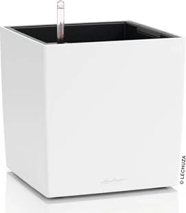 Lechuza Cube Color 30