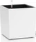 Lechuza Cube Color 30 Vorschaubild
