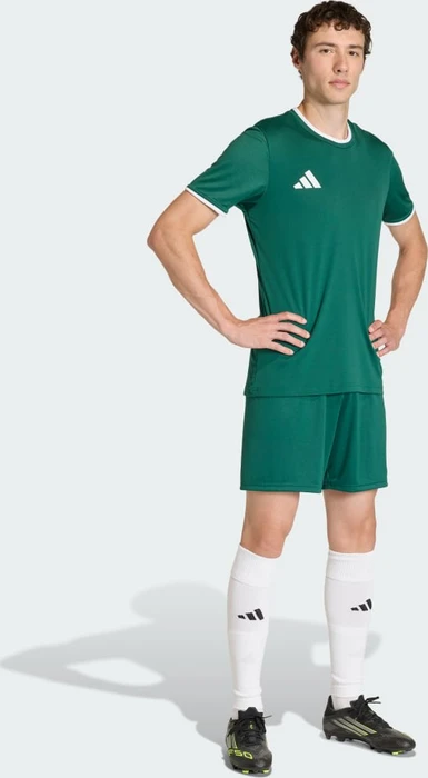 adidas Entrada 26 Trikot kurzarm team dark green/white (Herren)