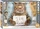 Eurographics Feline Felon (8500-5786)