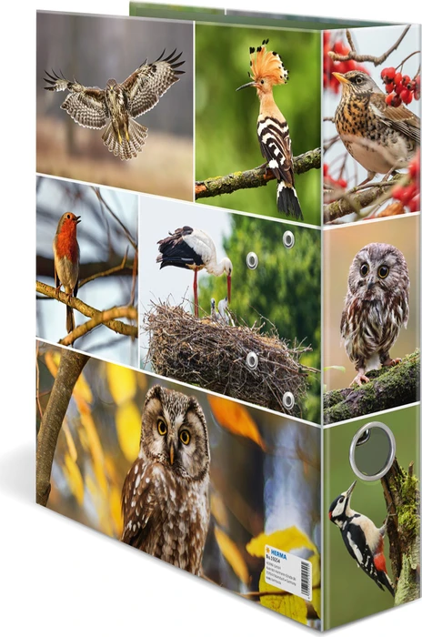 Herma Ordner 2-Ring mit Motiv, 70mm, A4, Animals Heimatvögel