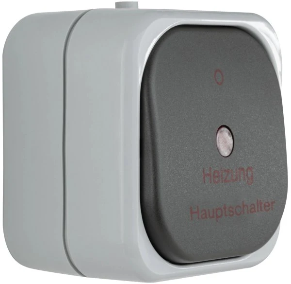 REV Ritter AquaTop Heizung Hauptschalter AP IP 44, grau