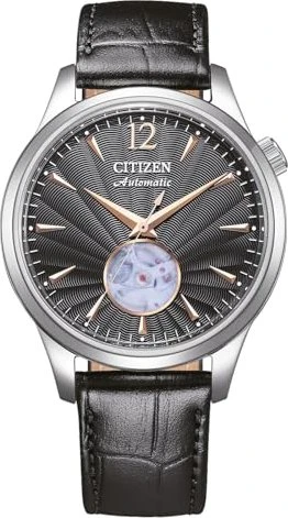 Citizen NH9131