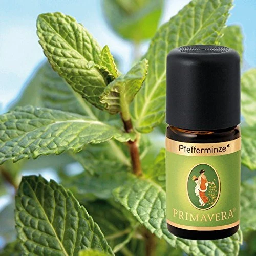 Primavera Pfefferminze Bio Duftöl