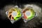 EK Water Blocks EK-Loop Fan FPT 140 D-RGB, White, 600-2000rpm, LED-Steuerung, 140mm Vorschaubild