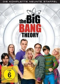 The Big Bang Theory Season 9 (DVD)