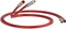 QED Reference Audio 40 Vorschaubild