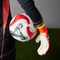 adidas Predator Pro Torwarthandschuhe black/solar red/solar yellow Vorschaubild