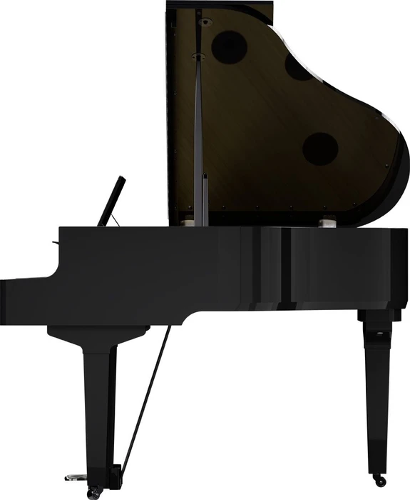 Roland GP-9 schwarz