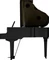 Roland GP-9 schwarz Vorschaubild