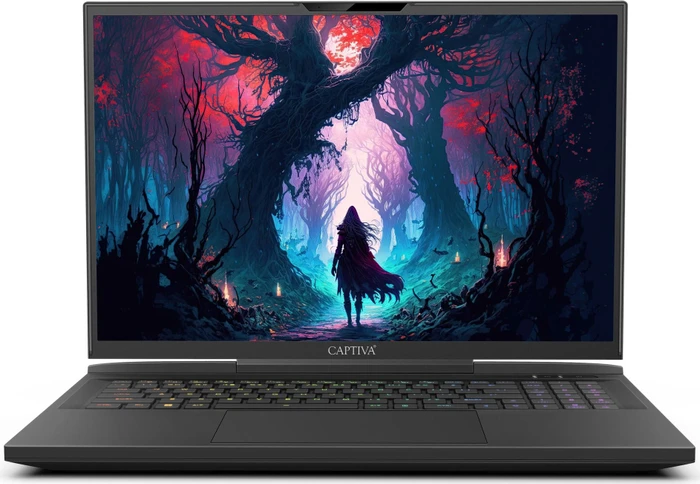 Captiva Highend Gaming I81-500, Core i9-14900HX, 16GB RAM, 1TB SSD, GeForce RTX 4080, DE
