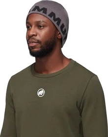 Mammut Logo Beanie steel/black