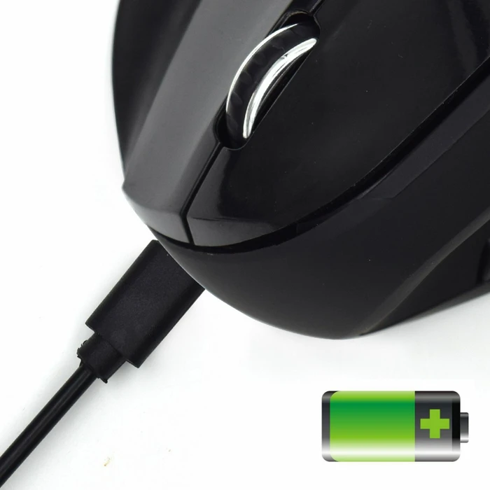 Ewent Wireless Ergonomic Mouse schwarz, USB